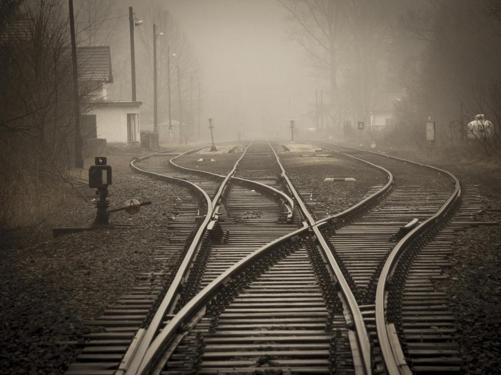 software engineer career path